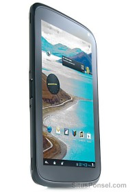 ZTE Optik